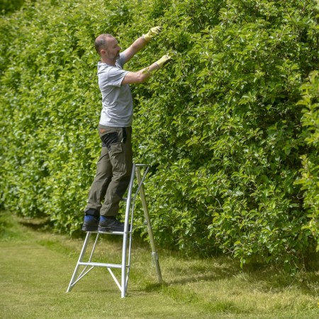 Standard Tripod ladder