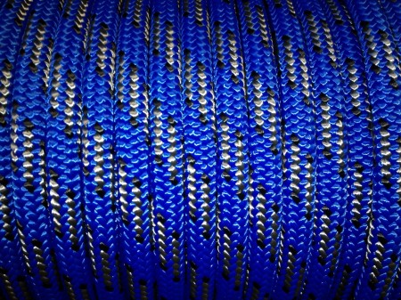 Cougar Blue - Available NOW