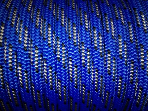 Cougar Blue - Available NOW