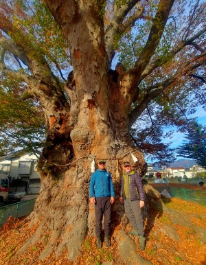 Wooden Hand collaboration workshop with Robert Knott & Paul Poynter